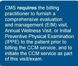 CCM Medicare Learning Network Chronic Care Management Services CCM Scope of Service Elements Structured Data Recording
