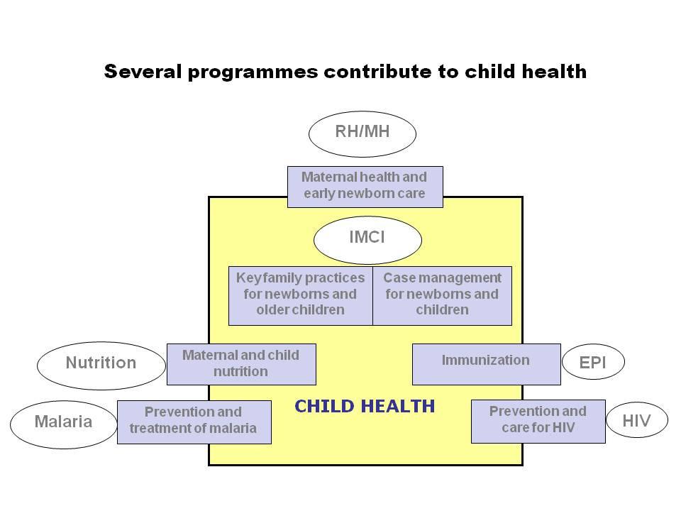2.6 Integration and coordination with other programmes bring opportunities Each child health programme needs to work with and coordinate with the other health programmes that address the same target