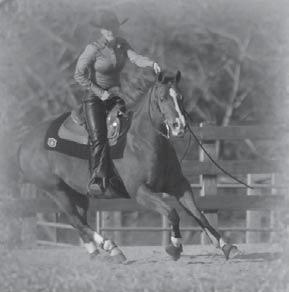 In collegiate competition, the rider must perform one of the set National Reining Horse Association (NHRA) patterns.
