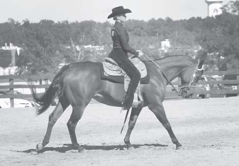 .. Reserve Champion in Hunt Seat Equitation, fi fth in Reining, fi fth in Horsemanship and seventh in Bareback Horsemanship at the 2009 POA International.