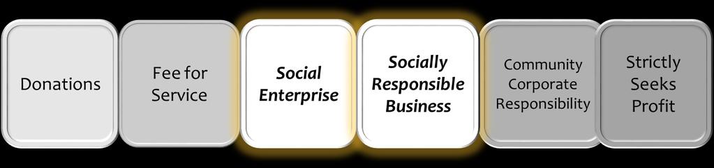 Social Enterprise Non-profit organizations (or for-profit businesses owned by non-profits) that generate sales