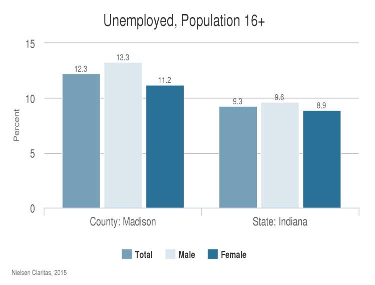 COMMUNITY HEALTH NEEDS ASSESSMENT - 10 UNEMPLOYMENT The unemployment rate in Madison County ranges from 5.3% 