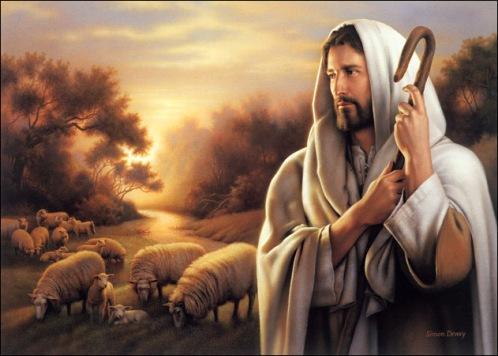 On patient ownership John 10:11 Jesus said: A good shepherd lays down his life for the sheep.