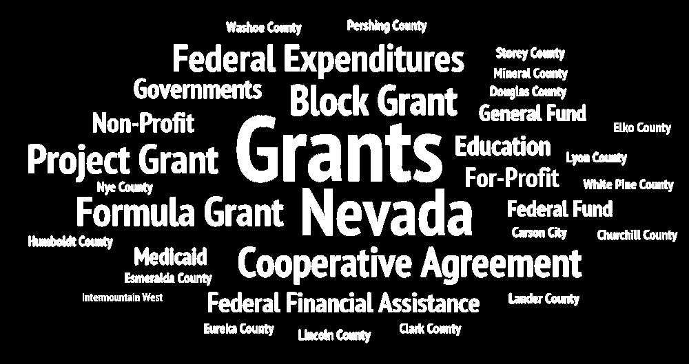 This policy brief summarizes federal revenue streams in Nevada in recent years.