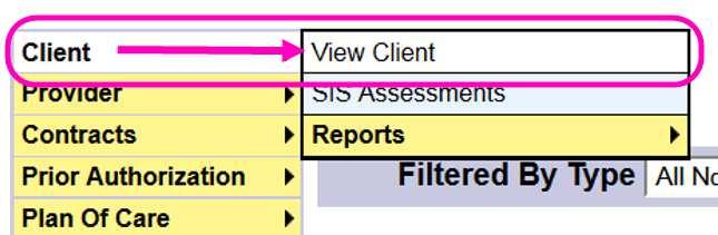 2. From the left-hand yellow navigational menu, click on Client View