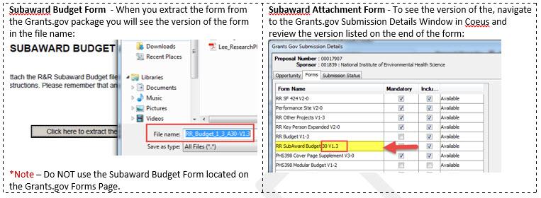 SUBAWARD BUDGET VERSIONS Review the Version of the File name you extract: Confirm that it