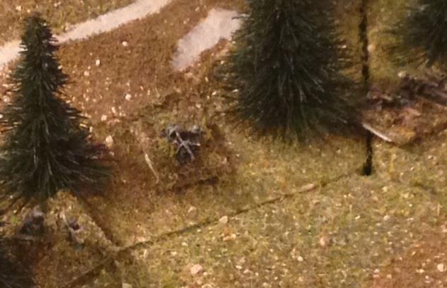German 2 nd Platoon Takes Up Position in South Woods To Cover Bridge and Stream The volume of fire on both sides of the stream increased significantly.