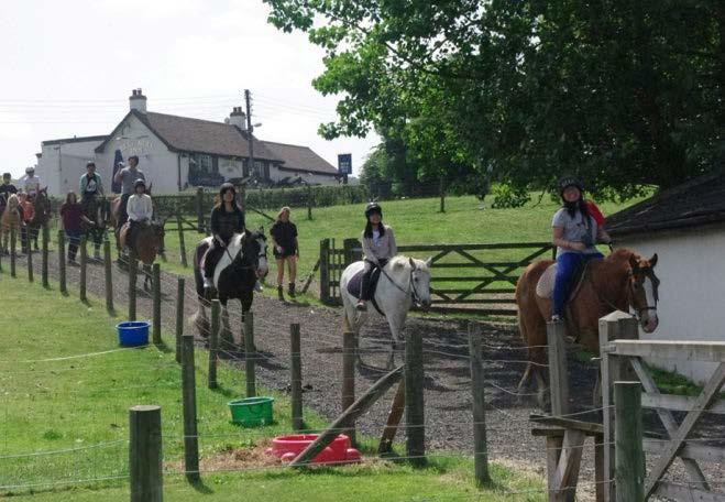 horse riding, cricket, sports day, golf, rugby, medieval banquet