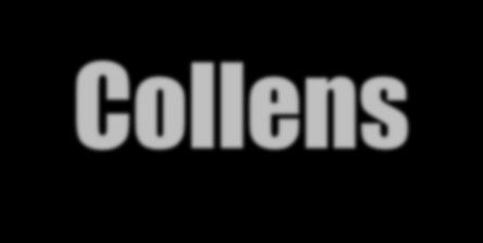 Collens Scholars Award Amount: Full tuition, room, board, and books. Renewable for 4 years.