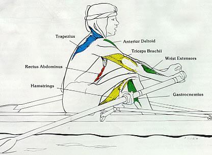 brachii u.c., vienlaicīgi airis tiek izgriezts pusaplī vertikālā stāvoklī, un rokas tiek izvirzītas aiz ceļiem Macone T., Klešņevs V., Dekoufours N., Padlo P. (Mazzone Thomas M.D.1988, Krauksts V.