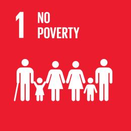 3.1. Development impacts NCF projects should contribute towards fulfilling the United Nations Sustainable Development Goals (SDGs).