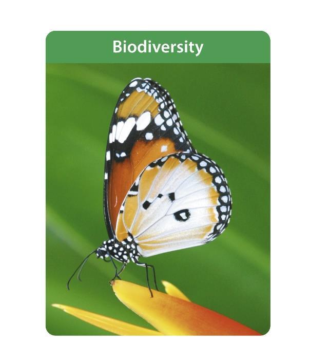 IPIECA has experience of many partnerships The Energy and Biodiversity Initiative has developed a widely accepted guidance tool for