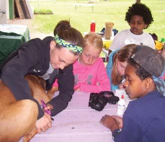 Youth spend 2 days at 4-H Acres learning about animal behavior, care, different breeds, anatomy, the importance of