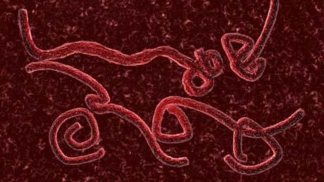 TheEbolaVirus: InfectionControlPrecautions