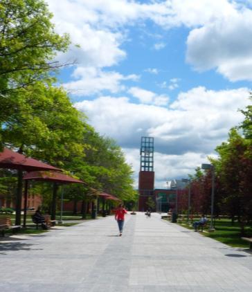 KEY THEMES THROUGHOUT highlight the spirit of Binghamton University An elite public university Campus that features access to unique natural