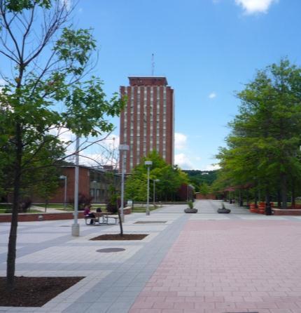 BINGHAMTON UNIVERSITY S FMP Define the required campus environment to realize strategic mission and academic goals Create an