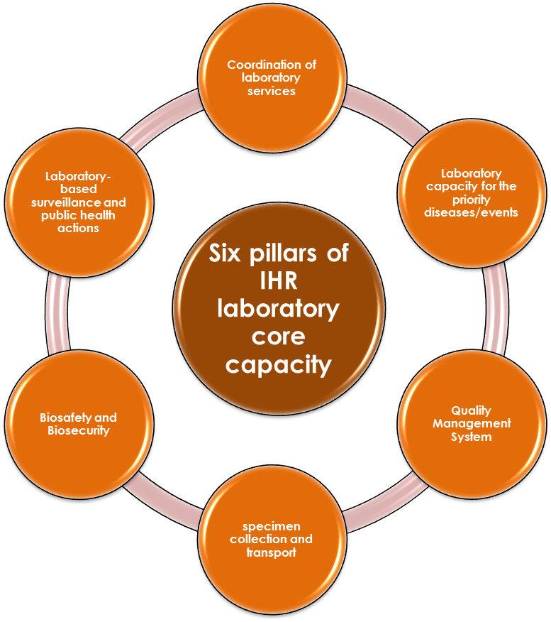 Figure 1: The six pillars of IHR laboratory core capacity Many Member States in the Region are at different stages in developing their laboratory capacity in as far as the structure provided by the