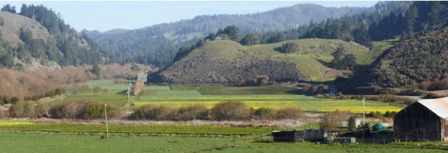 Swanton Pacific Ranch Internships 5 OVERVIEW Interns will receive hands-on, Learn by Doing experience in sustainable land management on a 3,200-acre working ranch Each intern will have a career focus