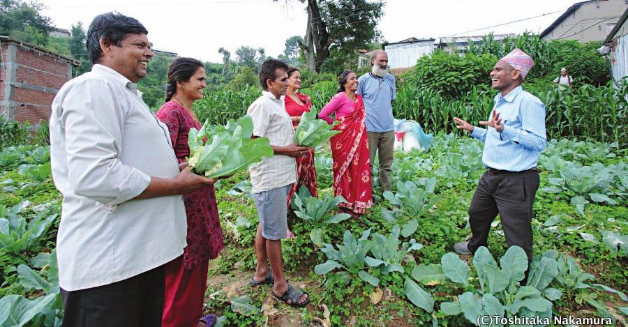 AGRICULTURE AND RURAL DEVELOPMENT In Nepal, a large portion of total gross domestic products relies on the agriculture sector, which offers employment to more than 66% of the economically active