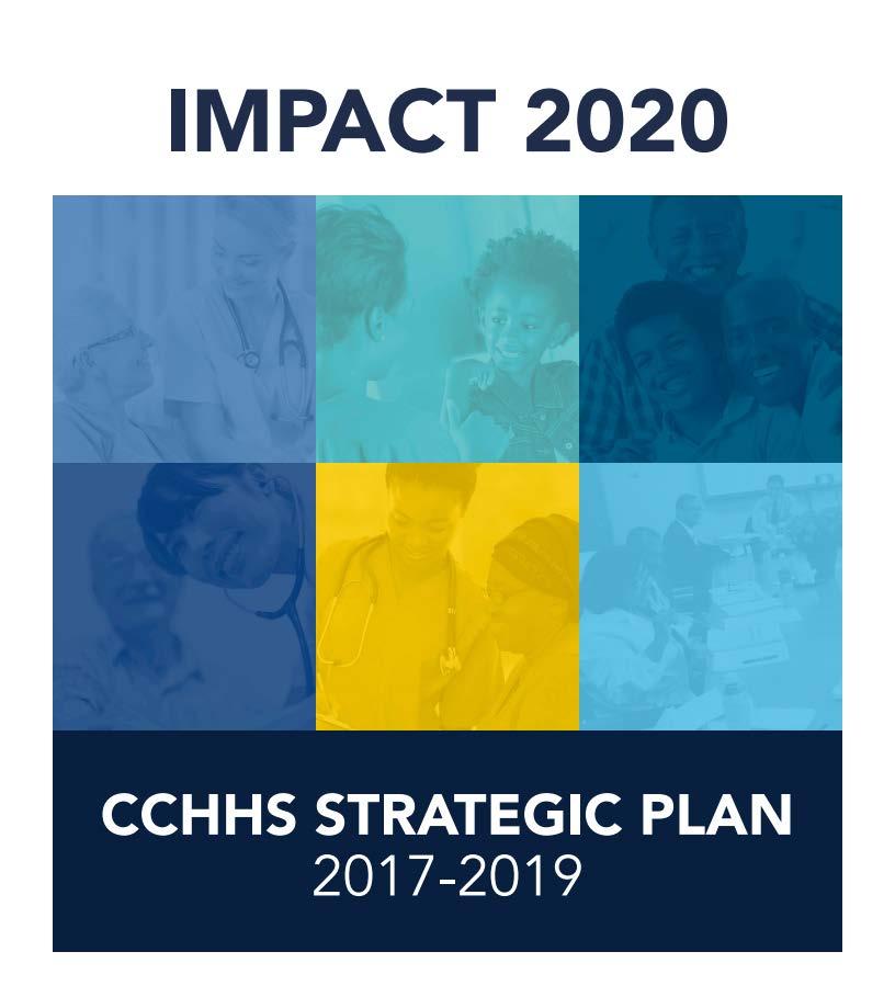 Impact 2020: Major Nursing Strategies Pursue Magnet status Develop a system-wide professional practice model Leverage information technology initiatives Pursue academic partnerships with colleges of