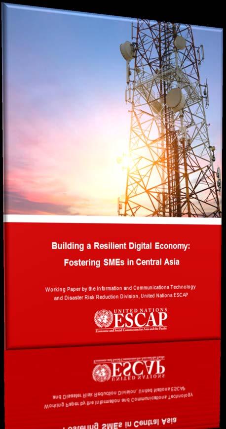 Building a Resilient Digital Economy: Fostering SMEs in Central Asia Economic