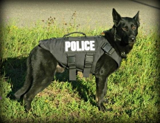 K 9 S e c t i o n : Officer Pete Noll and his canine partner Justice completed their second year as a canine team in 2014. This year the canine team was used 46 times to assist police officers.