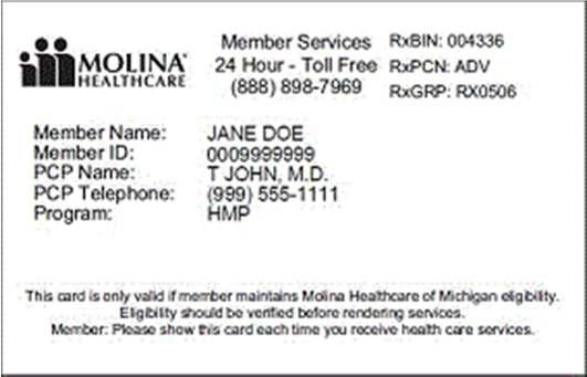 Healthy Michigan Plan ID Cards Healthy Michigan Plan Program