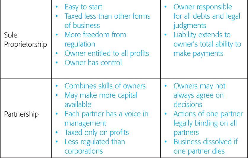 Forms of Business Organization Advantages and