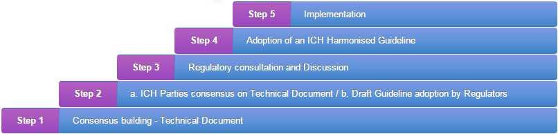 Steps in the ICH Process for Guideline Development 19 The ICH Step Process (1) Step 1: o The WG works to prepare a consensus draft of the technical document.