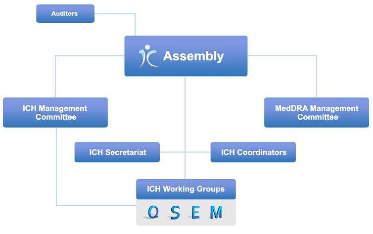 Structure of the ICH Association 13 Remit of the Assembly and the Management Committee Assembly is: The overarching body of the Association, composed of all Members that take decisions, regarding
