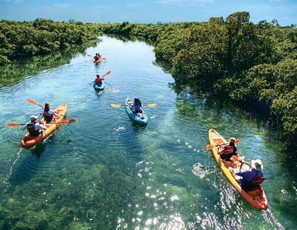 Saturday, September 3 Early Bird Kayak Tour 8:00 a.m. Meet at Pool Desk Start your Saturday with a serene paddle through our unique Florida Keys environment. Drinking water provided.