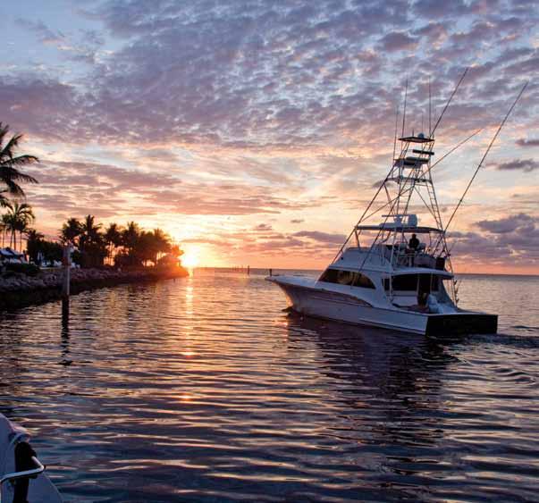 Yacht Charters Take a leisurely sunset cruise through the waters surrounding Ocean Reef; host a gourmet dinner
