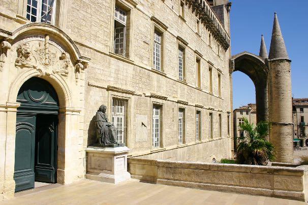 University of Montpellier This the first International diploma of Regional Anesthesia Analgesia in the world delivered by the French University of Montpellier France recognised in Europe.