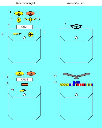 A-10 Badges 59. The following diagrams have been prepared to assist members understand the correct method of wearing insignia and other accoutrements on the Service Dress shirt pockets. 60.