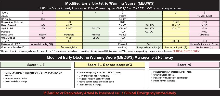 Appendix Two: Modified Early Obstetric Warning (MEOWS) Management