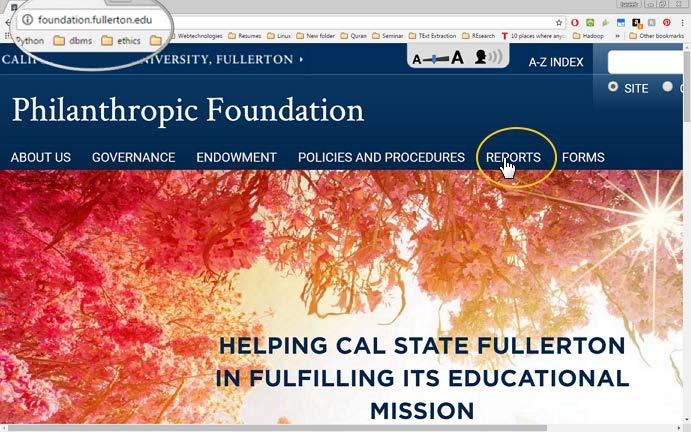 Getting to the Reports Portal URL: http://foundation.fullerton.