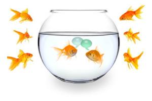 Upcoming Readmissions Fishbowl Series Events Reducing Sepsis Readmissions Fishbowl Series 3 June 12 Reducing Sepsis