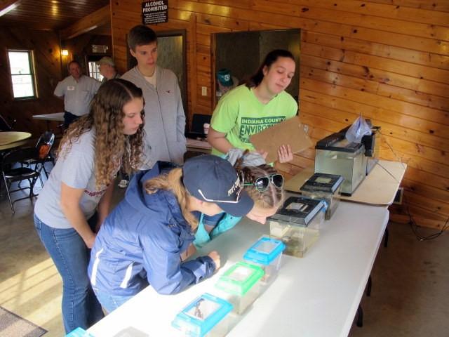 The Indiana County Conservation District hosted nearly 100 students from Indiana, Marion Center, Penns Manor, Saltsburg and United High Schools for the competition.