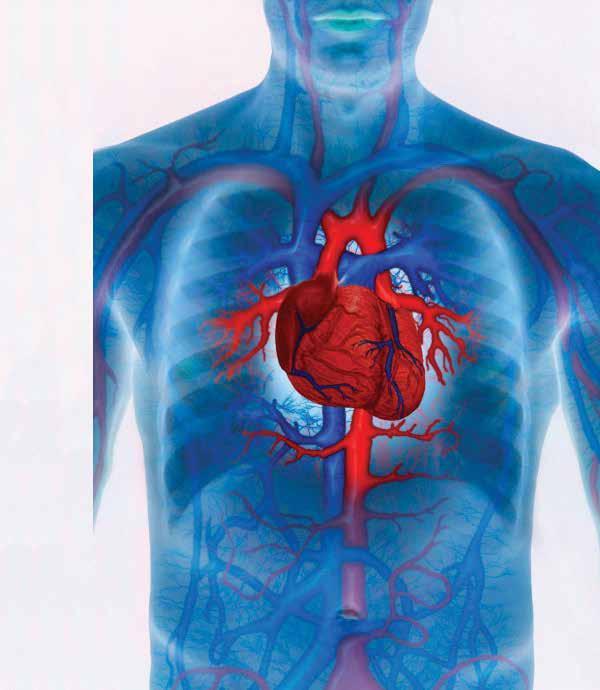Our patients have better cardiac survival