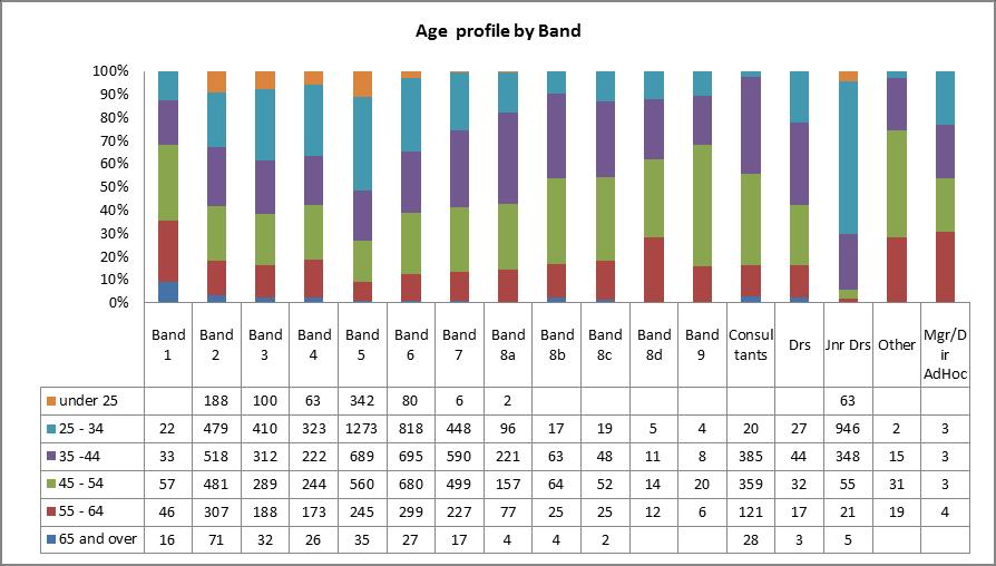Age profile by band It is worth noting that the largest number of those in age group 65 and over are in band 2 roles.