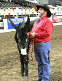 the Draft Horse Show. 8 am on Nov.