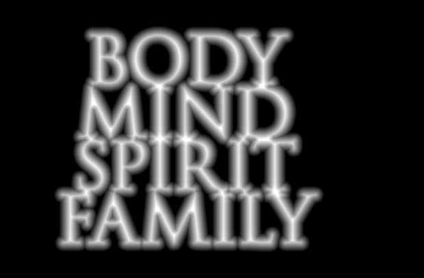 They are Body, Mind, Spirit, and Family. These four components support personal performance in all individuals whether they are Marines, family members, civilian employees, or contractors.