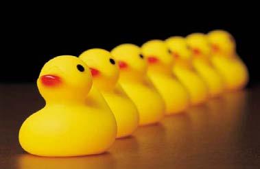 CONGRATULATIONS! Outcomes ALL YOUR DUCKS ARE IN A ROW!