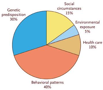 Determinants of Health Figure 1.
