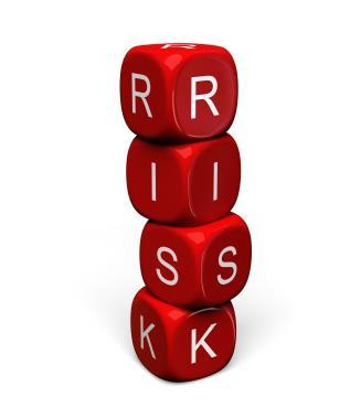 Outsourcing Top Risks Some IT functions are not easily outsourced.