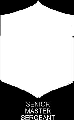 Enlisted rank used is small