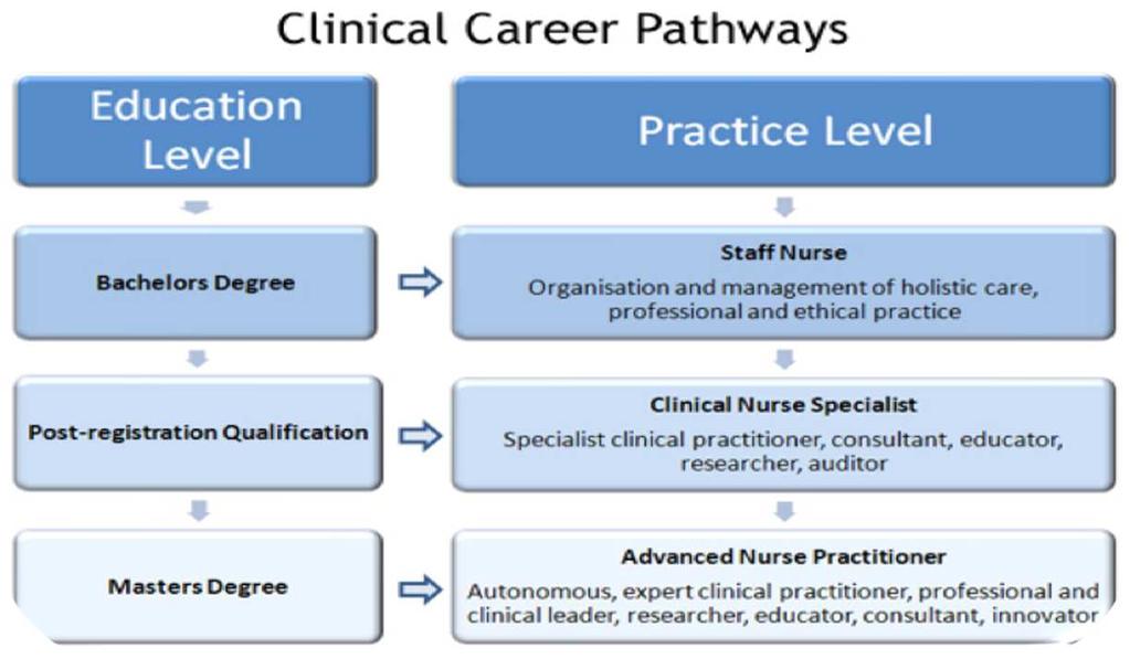 Career pathways map out the: role knowledge skills experience different levels within each setting.
