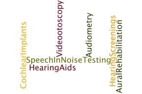 Slide 7 Use of Telepractice Audiology Slide 8 Use of Telepractice Speech-Language Pathology