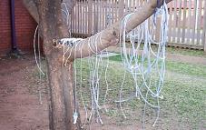 of washed, disposable tubing,
