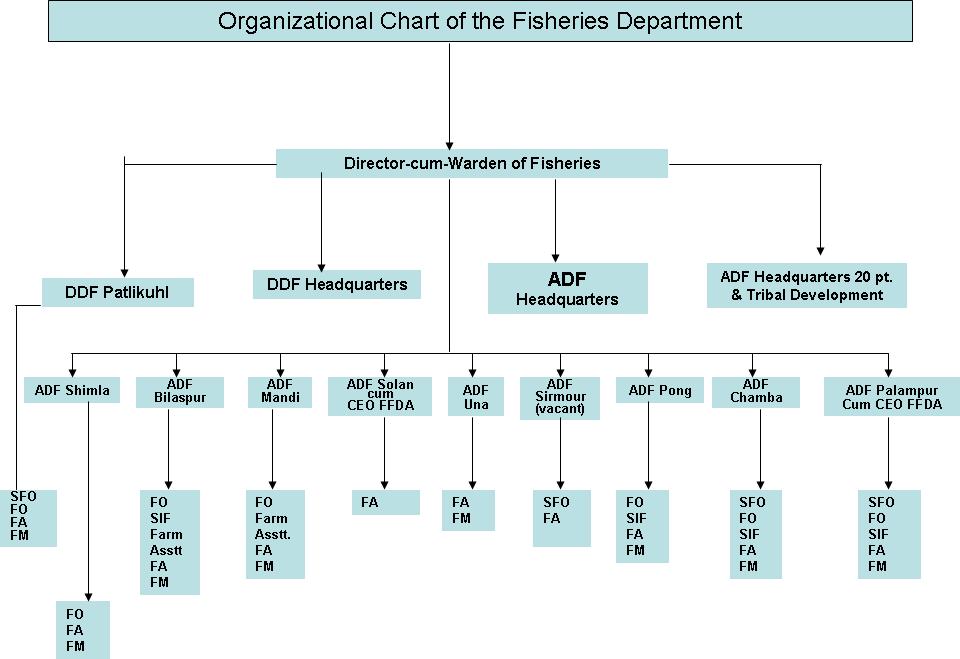 4.4 The organizational chart of the Department Fisheries The organization